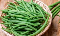 فواید مصرف لوبیا سبز در دوران بارداری