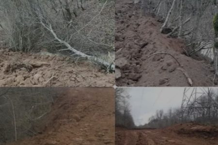 قطع ۴ هزار اصله درخت در نور و ورود دادستان مرکز مازندران