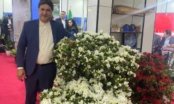 برگزاری بزرگترین نمایشگاه گل و گیاه شمال کشور در ساری