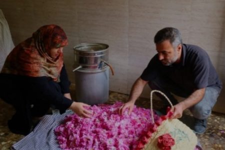 برگزاری جشنواره گلاب بامشارکت گلاب صواحی در دودانگه / گلاب صواحی دوشادوش گلکاران در جشنواره گلاب دودانگه   