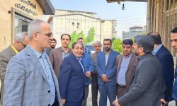 بازدید معاون توسعه وزیر بهداشت از پروژه های حوزه سلامت بهنمیر 